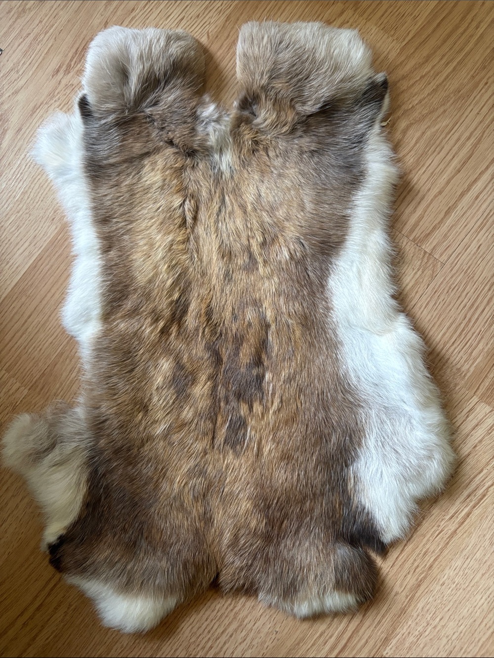 B0126 Natural Brown and Cream Fur Pelt rabbit
